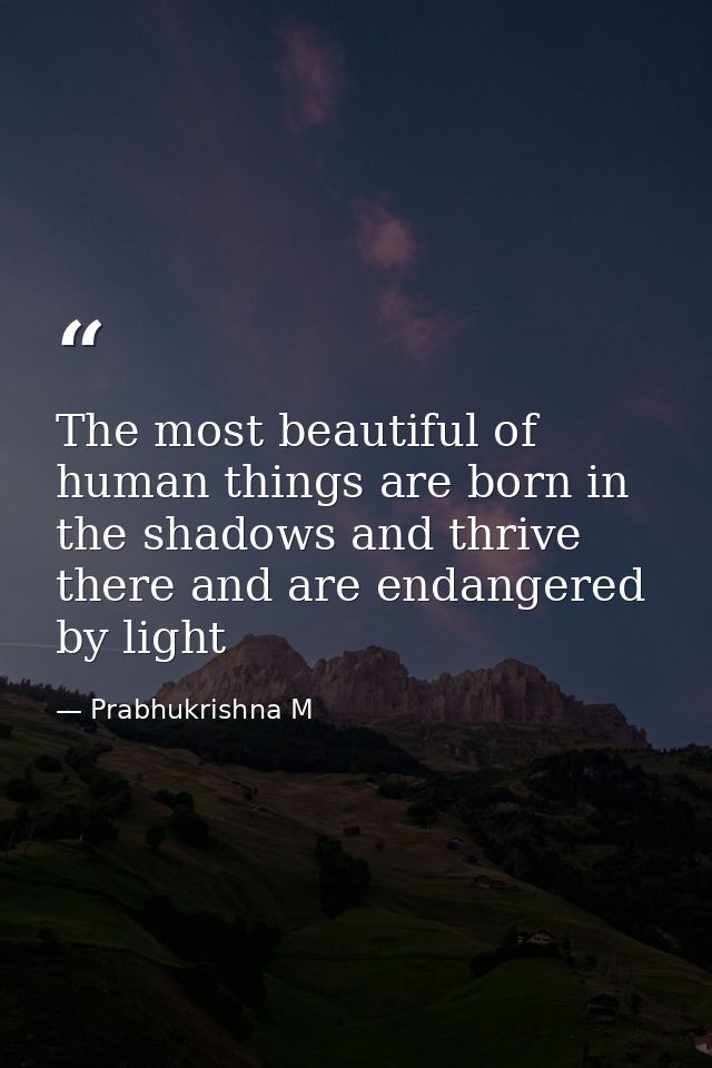 The most beautiful of human things are born in the shadows and thrive there and are endangered by light — Prabhukrishna M