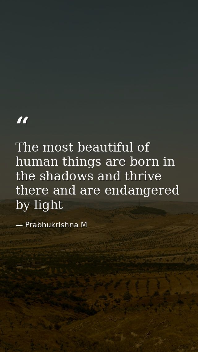 The most beautiful of human things are born in the shadows and thrive there and are endangered by light — Prabhukrishna M