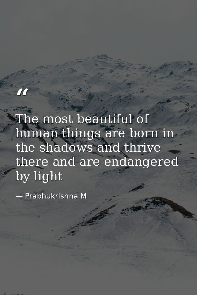 The most beautiful of human things are born in the shadows and thrive there and are endangered by light — Prabhukrishna M
