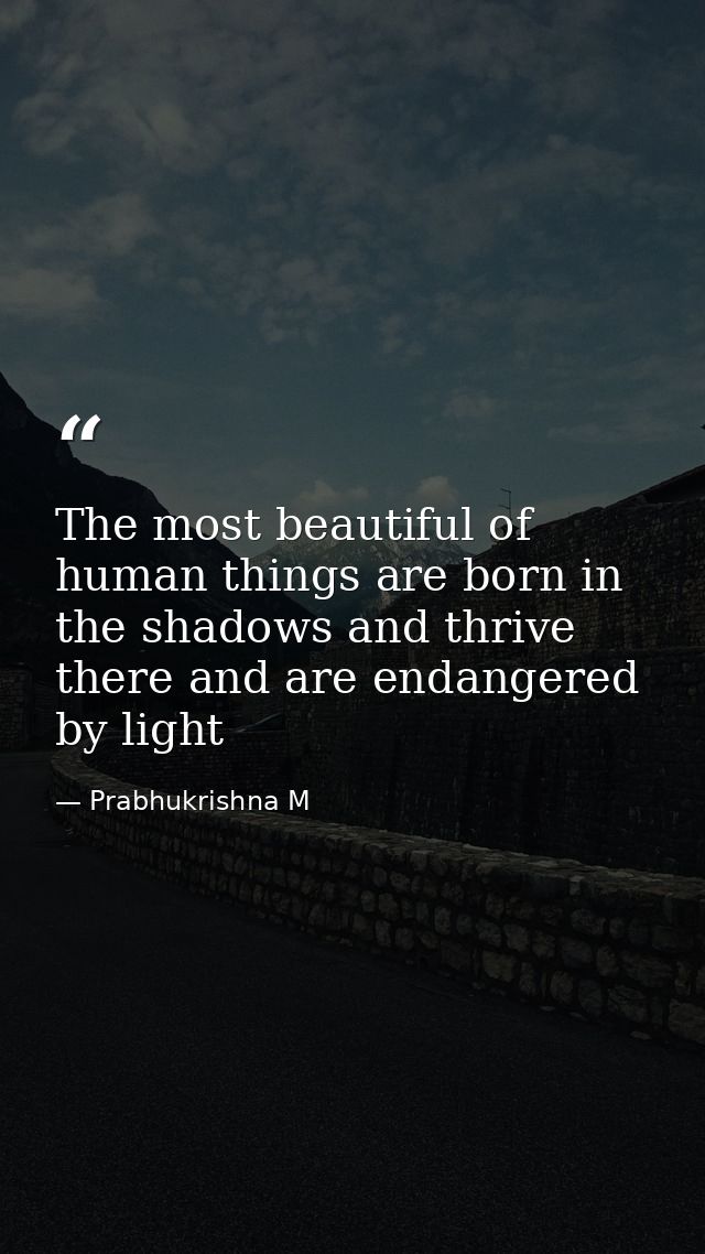 The most beautiful of human things are born in the shadows and thrive there and are endangered by light — Prabhukrishna M