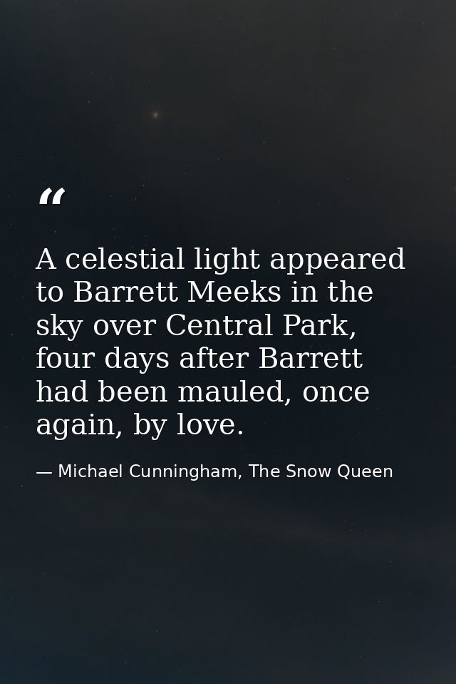 A celestial light appeared to Barrett Meeks in the sky over Central Park, four days after Barrett had been mauled, once  — Michael Cunningham, The Snow Queen