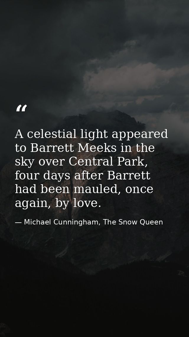A celestial light appeared to Barrett Meeks in the sky over Central Park, four days after Barrett had been mauled, once  — Michael Cunningham, The Snow Queen