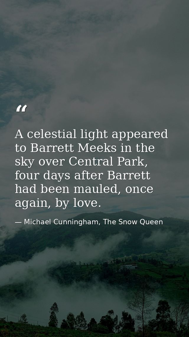 A celestial light appeared to Barrett Meeks in the sky over Central Park, four days after Barrett had been mauled, once  — Michael Cunningham, The Snow Queen