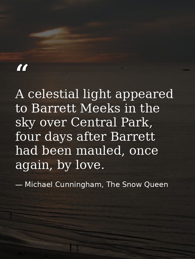 A celestial light appeared to Barrett Meeks in the sky over Central Park, four days after Barrett had been mauled, once  — Michael Cunningham, The Snow Queen