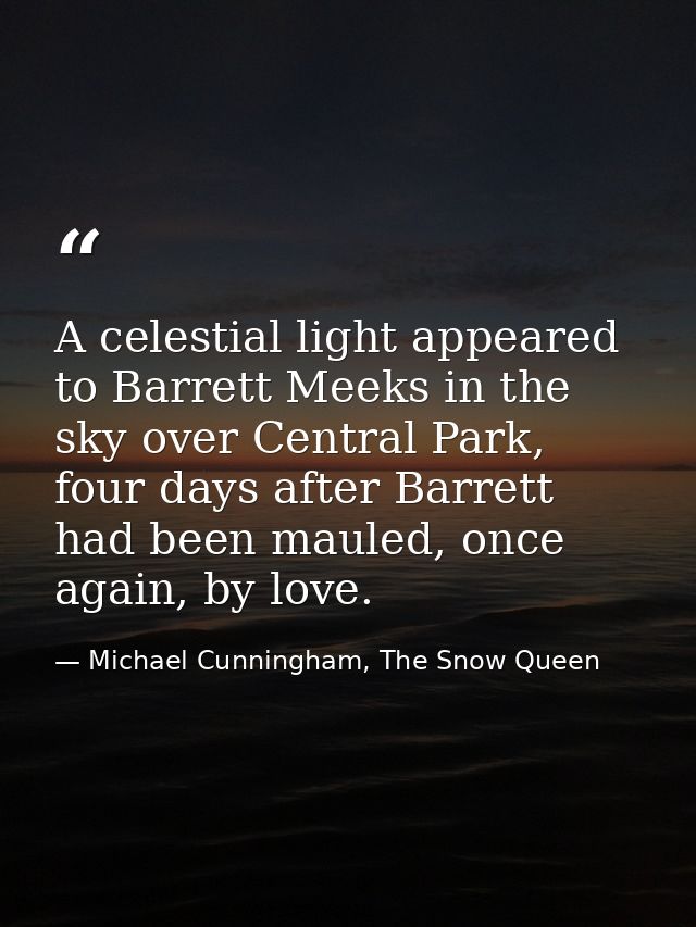 A celestial light appeared to Barrett Meeks in the sky over Central Park, four days after Barrett had been mauled, once  — Michael Cunningham, The Snow Queen