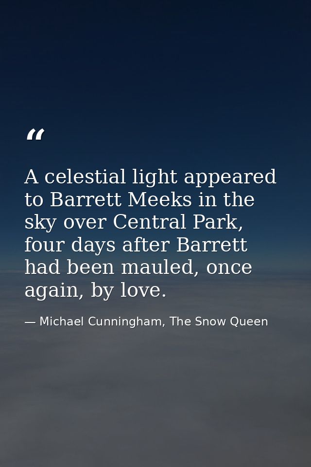 A celestial light appeared to Barrett Meeks in the sky over Central Park, four days after Barrett had been mauled, once  — Michael Cunningham, The Snow Queen