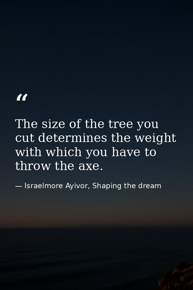 The size of the tree you cut determines the weight with which you have to throw the axe. — Israelmore Ayivor, Shaping the dream