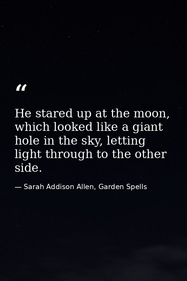 He stared up at the moon, which looked like a giant hole in the sky, letting light through to the other side. — Sarah Addison Allen, Garden Spells