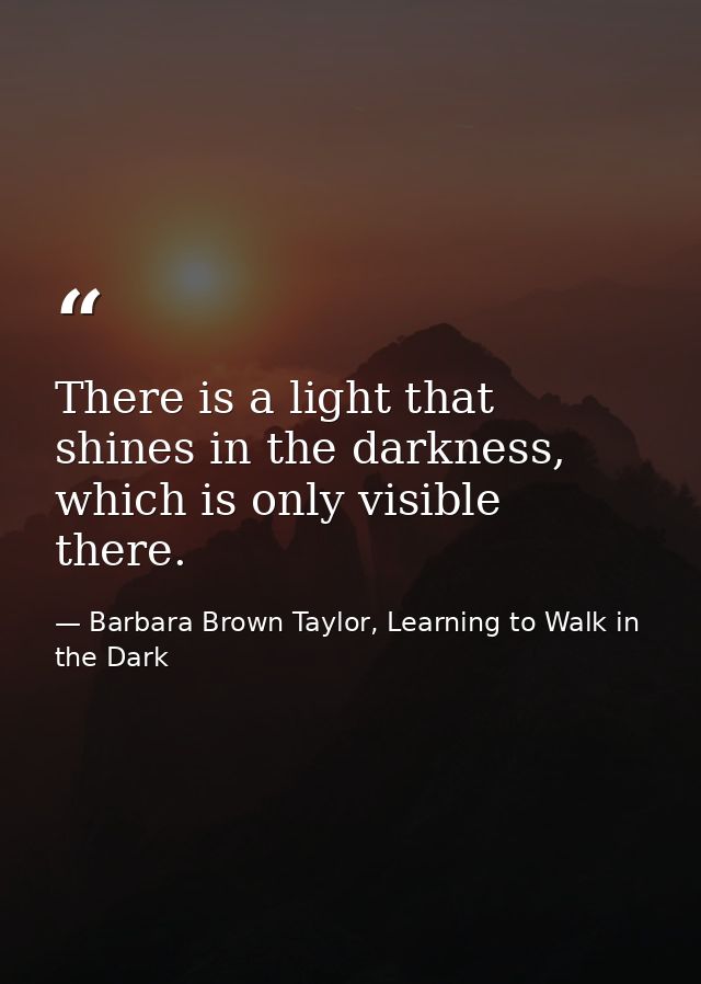 There is a light that shines in the darkness, which is only visible there. — Barbara Brown Taylor, Learning to Walk in the Dark