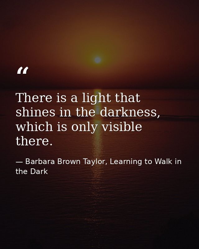 There is a light that shines in the darkness, which is only visible there. — Barbara Brown Taylor, Learning to Walk in the Dark
