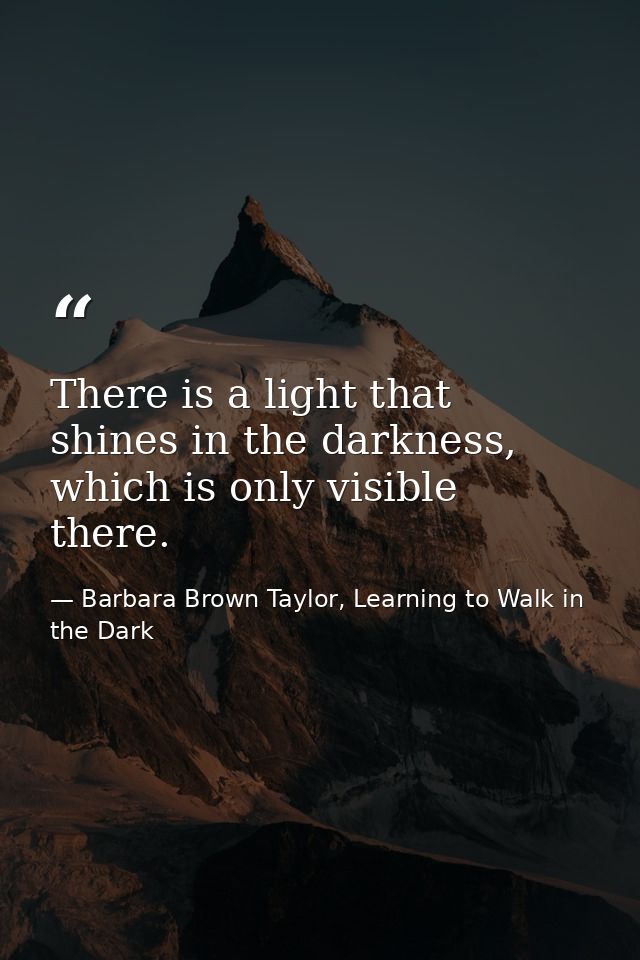There is a light that shines in the darkness, which is only visible there. — Barbara Brown Taylor, Learning to Walk in the Dark