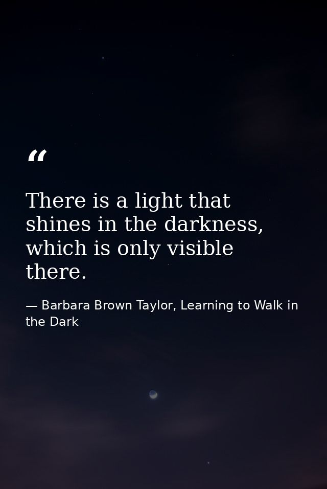 There is a light that shines in the darkness, which is only visible there. — Barbara Brown Taylor, Learning to Walk in the Dark