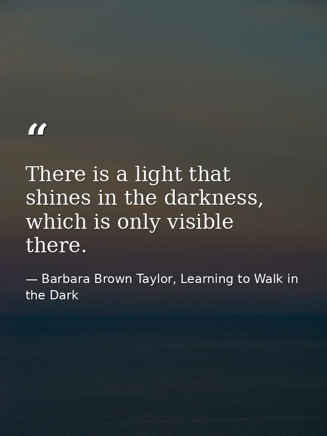 There is a light that shines in the darkness, which is only visible there. — Barbara Brown Taylor, Learning to Walk in the Dark