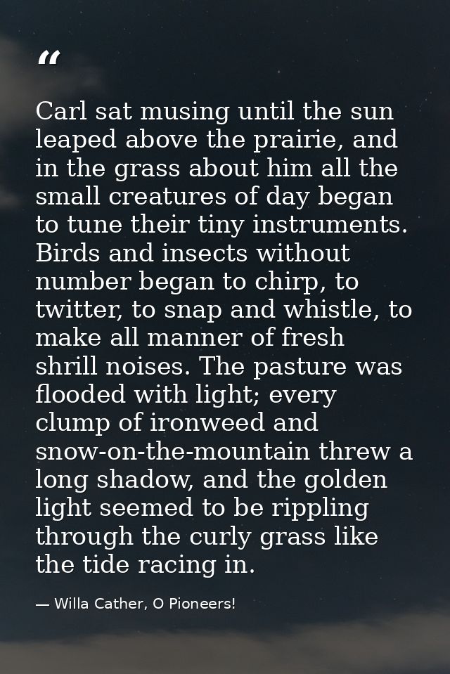 Carl sat musing until the sun leaped above the prairie, and in the grass about him all the small creatures of day began  — Willa Cather, O Pioneers!