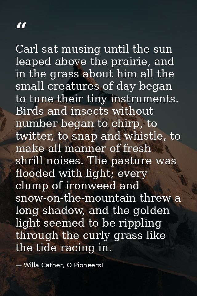 Carl sat musing until the sun leaped above the prairie, and in the grass about him all the small creatures of day began  — Willa Cather, O Pioneers!