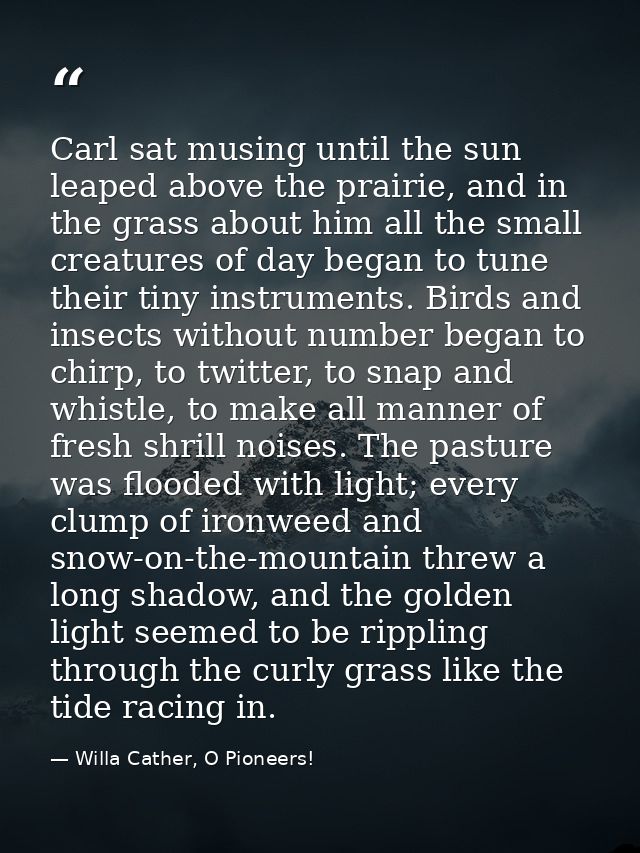 Carl sat musing until the sun leaped above the prairie, and in the grass about him all the small creatures of day began  — Willa Cather, O Pioneers!