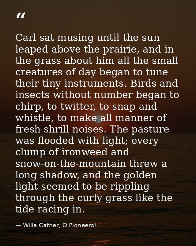 Carl sat musing until the sun leaped above the prairie, and in the grass about him all the small creatures of day began  — Willa Cather, O Pioneers!