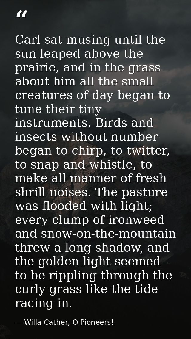 Carl sat musing until the sun leaped above the prairie, and in the grass about him all the small creatures of day began  — Willa Cather, O Pioneers!