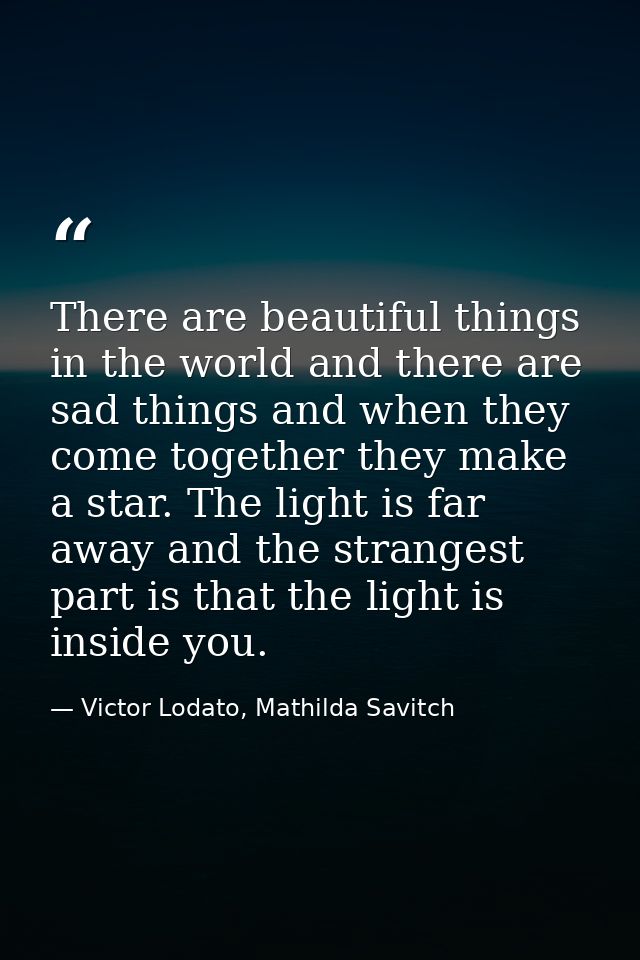 There are beautiful things in the world and there are sad things and when they come together they make a star. The light — Victor Lodato, Mathilda Savitch