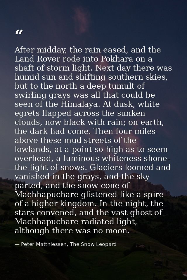 After midday, the rain eased, and the Land Rover rode into Pokhara on a shaft of storm light. Next day there was humid s — Peter Matthiessen, The Snow Leopard