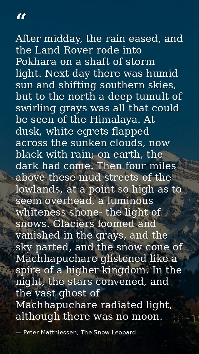 After midday, the rain eased, and the Land Rover rode into Pokhara on a shaft of storm light. Next day there was humid s — Peter Matthiessen, The Snow Leopard