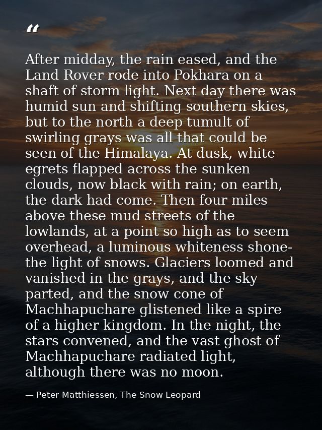 After midday, the rain eased, and the Land Rover rode into Pokhara on a shaft of storm light. Next day there was humid s — Peter Matthiessen, The Snow Leopard