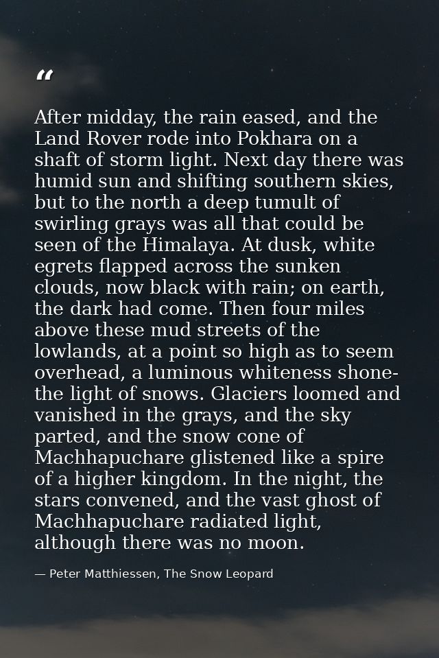 After midday, the rain eased, and the Land Rover rode into Pokhara on a shaft of storm light. Next day there was humid s — Peter Matthiessen, The Snow Leopard