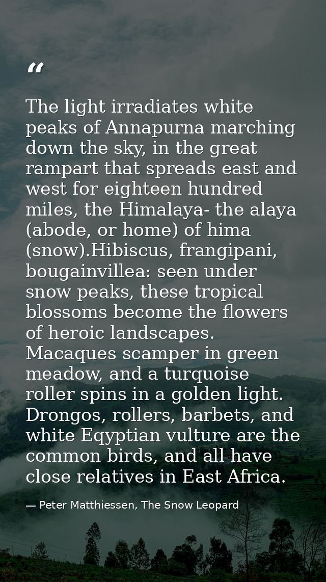 The light irradiates white peaks of Annapurna marching down the sky, in the great rampart that spreads east and west for — Peter Matthiessen, The Snow Leopard
