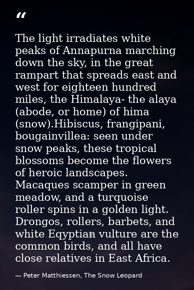 The light irradiates white peaks of Annapurna marching down the sky, in the great rampart that spreads east and west for — Peter Matthiessen, The Snow Leopard
