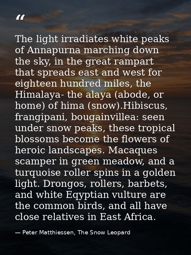The light irradiates white peaks of Annapurna marching down the sky, in the great rampart that spreads east and west for — Peter Matthiessen, The Snow Leopard