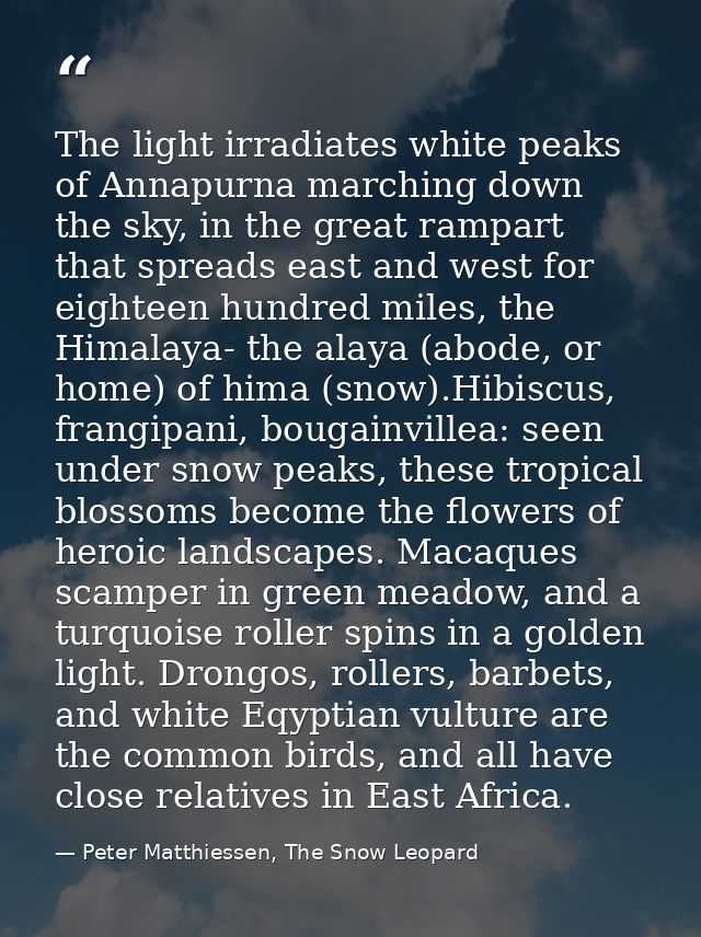 The light irradiates white peaks of Annapurna marching down the sky, in the great rampart that spreads east and west for — Peter Matthiessen, The Snow Leopard