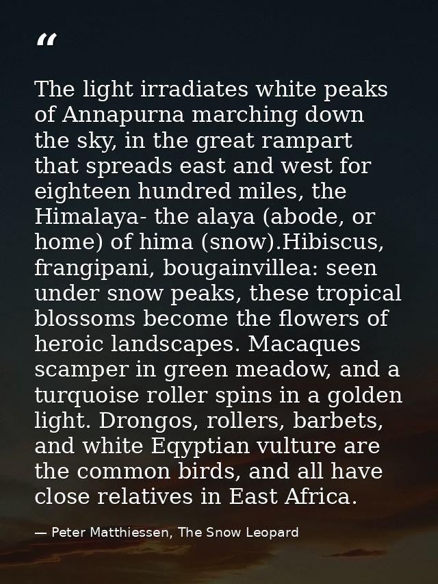 The light irradiates white peaks of Annapurna marching down the sky, in the great rampart that spreads east and west for — Peter Matthiessen, The Snow Leopard