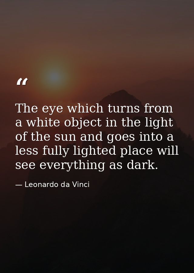 The eye which turns from a white object in the light of the sun and goes into a less fully lighted place will see everyt — Leonardo da Vinci