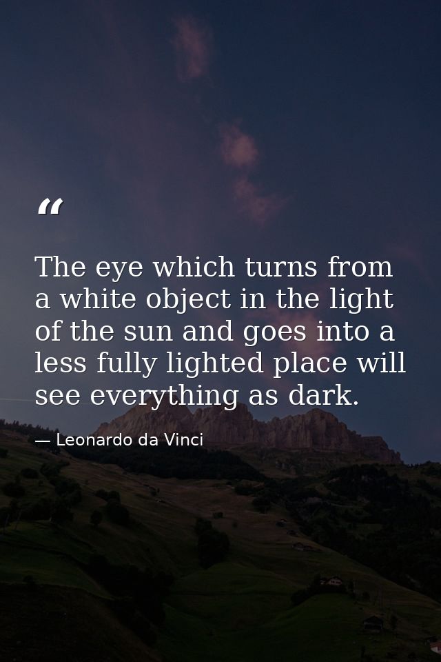 The eye which turns from a white object in the light of the sun and goes into a less fully lighted place will see everyt — Leonardo da Vinci