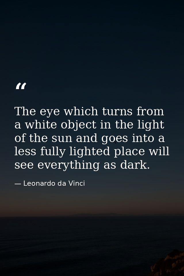 The eye which turns from a white object in the light of the sun and goes into a less fully lighted place will see everyt — Leonardo da Vinci