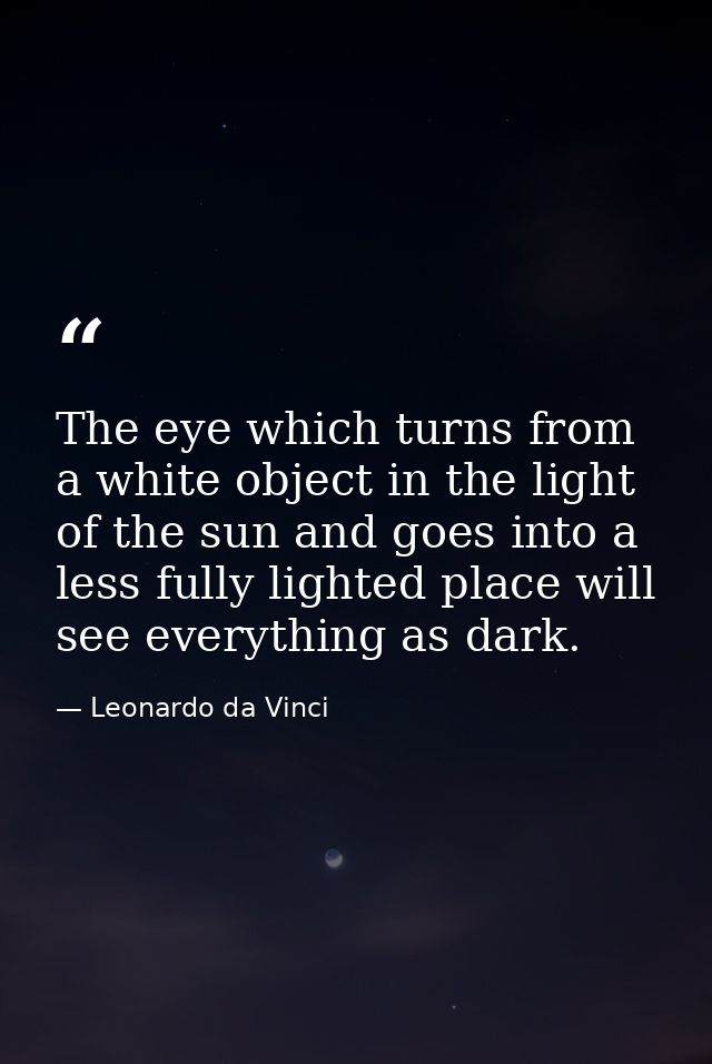 The eye which turns from a white object in the light of the sun and goes into a less fully lighted place will see everyt — Leonardo da Vinci
