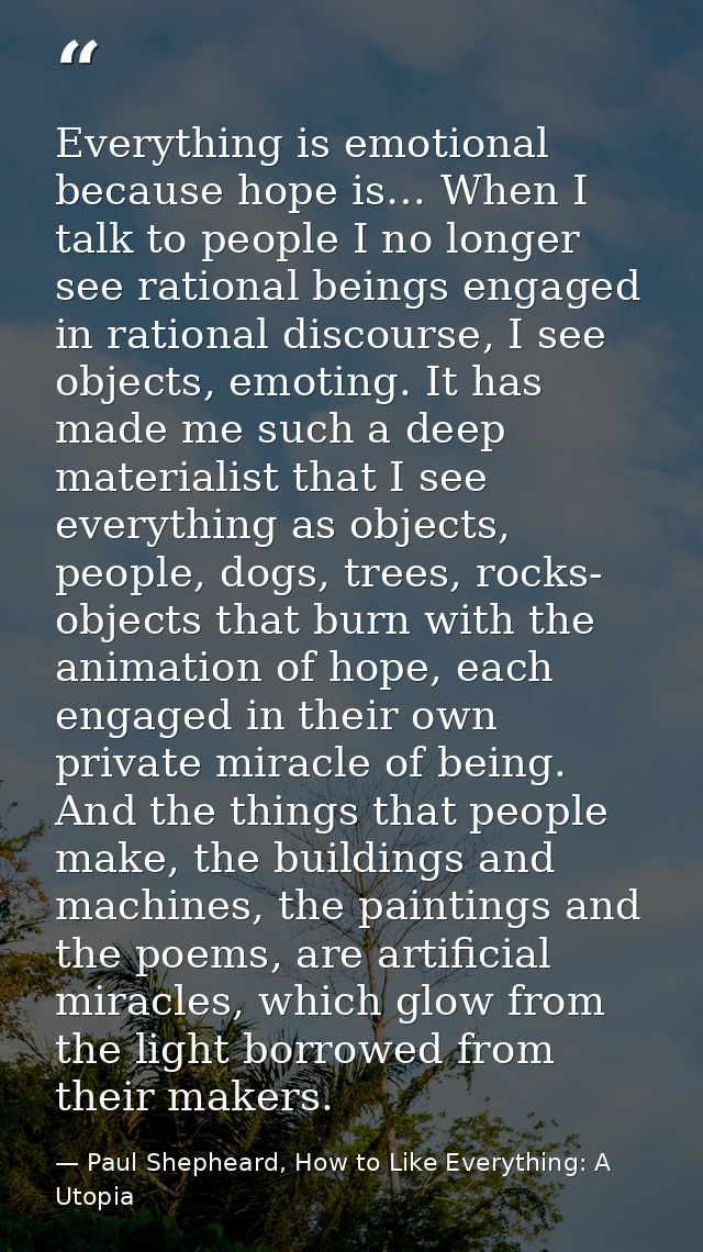 Everything is emotional because hope is… When I talk to people I no longer see rational beings engaged in rational disco — Paul Shepheard, How to Like Everything: A Utopia