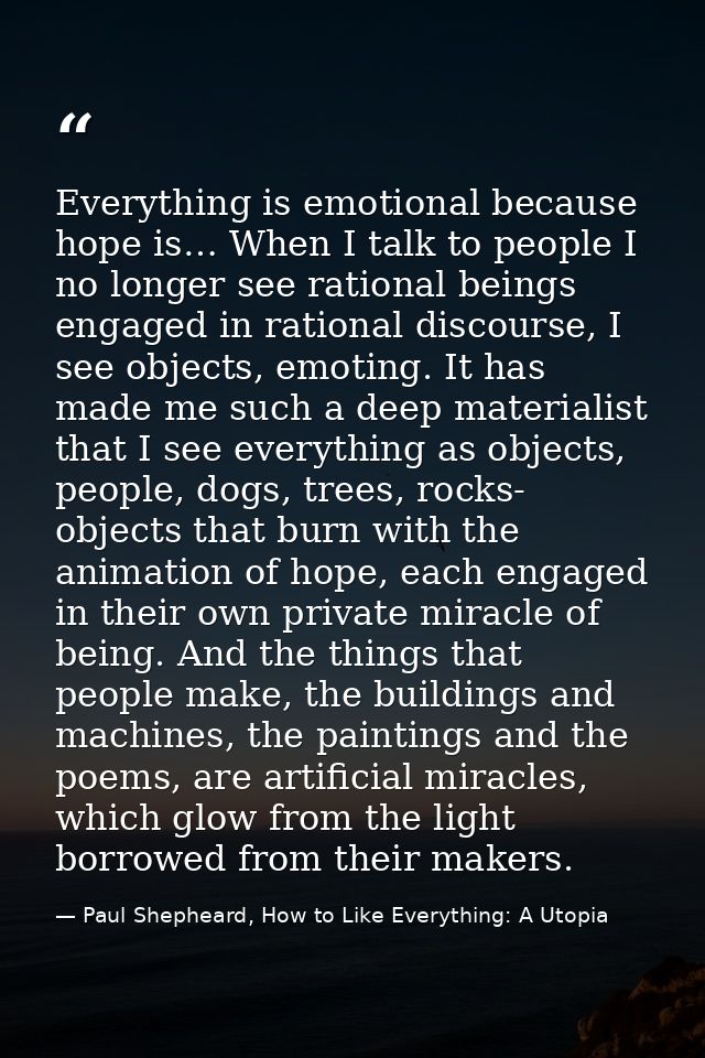 Everything is emotional because hope is… When I talk to people I no longer see rational beings engaged in rational disco — Paul Shepheard, How to Like Everything: A Utopia