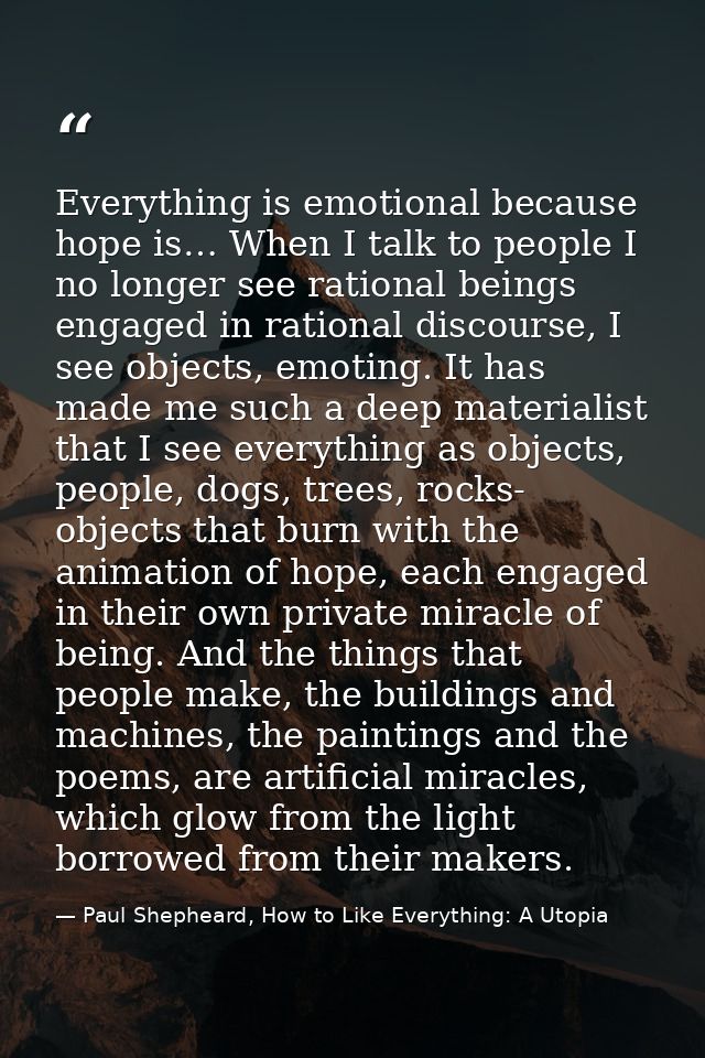 Everything is emotional because hope is… When I talk to people I no longer see rational beings engaged in rational disco — Paul Shepheard, How to Like Everything: A Utopia
