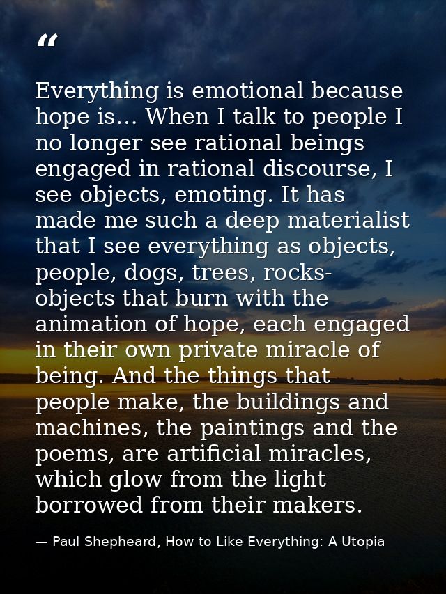 Everything is emotional because hope is… When I talk to people I no longer see rational beings engaged in rational disco — Paul Shepheard, How to Like Everything: A Utopia