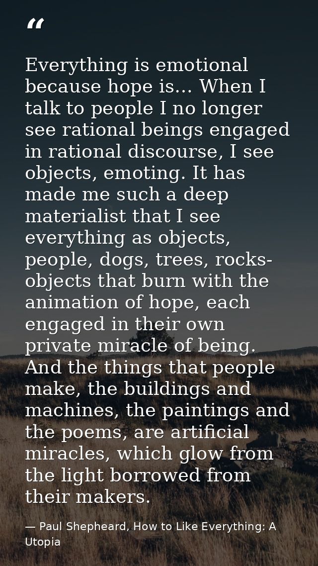 Everything is emotional because hope is… When I talk to people I no longer see rational beings engaged in rational disco — Paul Shepheard, How to Like Everything: A Utopia