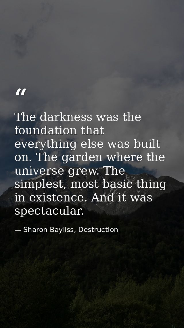 The darkness was the foundation that everything else was built on. The garden where the universe grew. The simplest, mos — Sharon Bayliss, Destruction