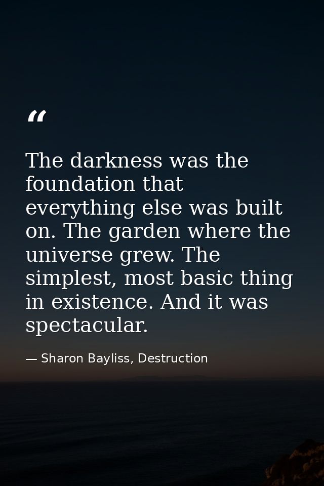 The darkness was the foundation that everything else was built on. The garden where the universe grew. The simplest, mos — Sharon Bayliss, Destruction
