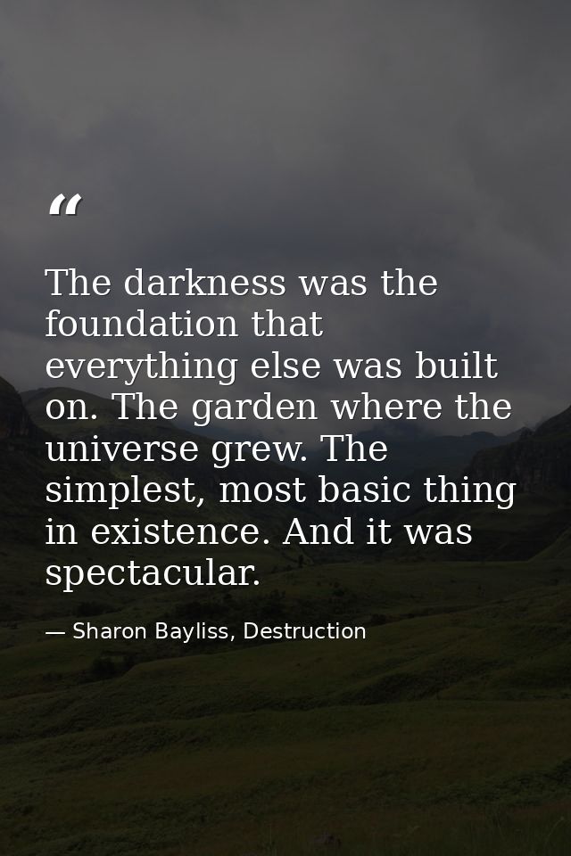 The darkness was the foundation that everything else was built on. The garden where the universe grew. The simplest, mos — Sharon Bayliss, Destruction
