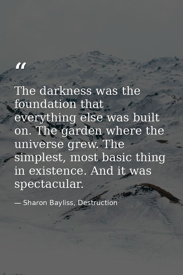 The darkness was the foundation that everything else was built on. The garden where the universe grew. The simplest, mos — Sharon Bayliss, Destruction