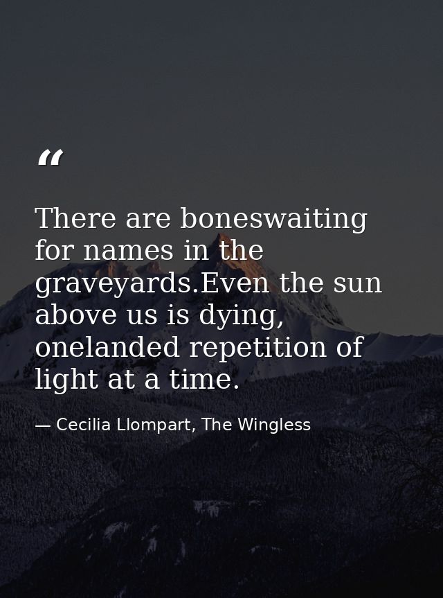 There are boneswaiting for names in the graveyards.Even the sun above us is dying, onelanded repetition of light at a ti — Cecilia Llompart, The Wingless