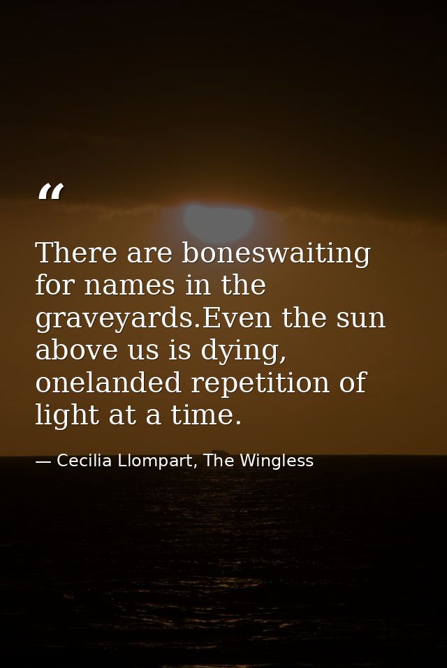 There are boneswaiting for names in the graveyards.Even the sun above us is dying, onelanded repetition of light at a ti — Cecilia Llompart, The Wingless