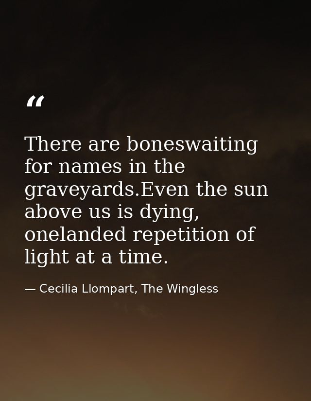 There are boneswaiting for names in the graveyards.Even the sun above us is dying, onelanded repetition of light at a ti — Cecilia Llompart, The Wingless