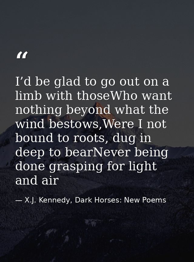 I’d be glad to go out on a limb with thoseWho want nothing beyond what the wind bestows,Were I not bound to roots, dug i — X.J. Kennedy, Dark Horses: New Poems