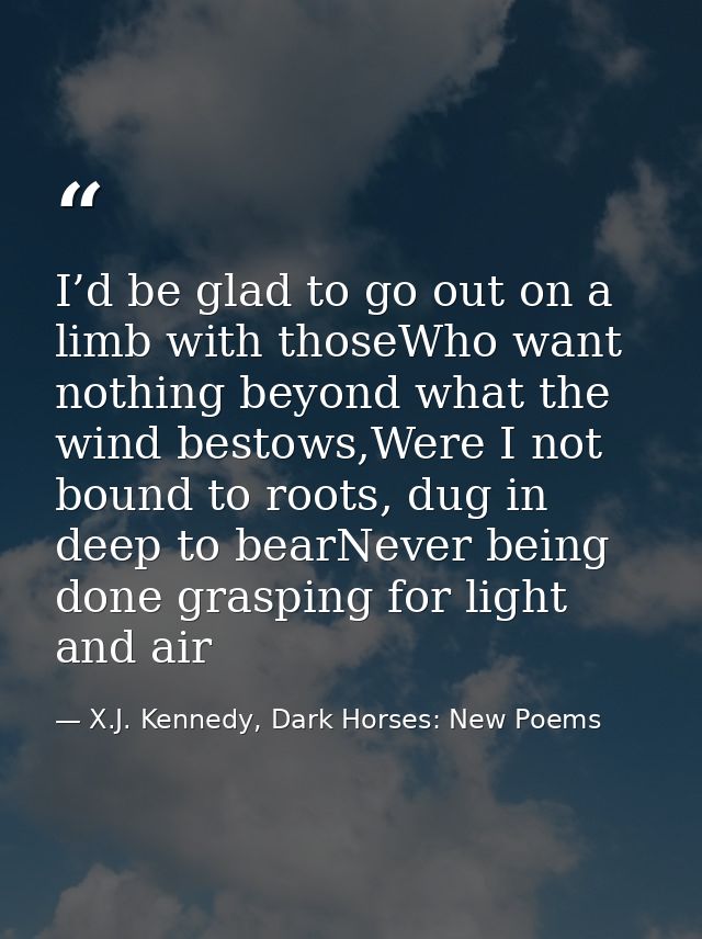 I’d be glad to go out on a limb with thoseWho want nothing beyond what the wind bestows,Were I not bound to roots, dug i — X.J. Kennedy, Dark Horses: New Poems